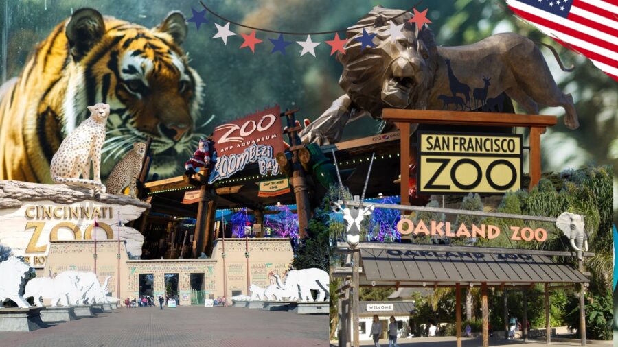 Best Zoos in the US You Need to Visit in 2025
