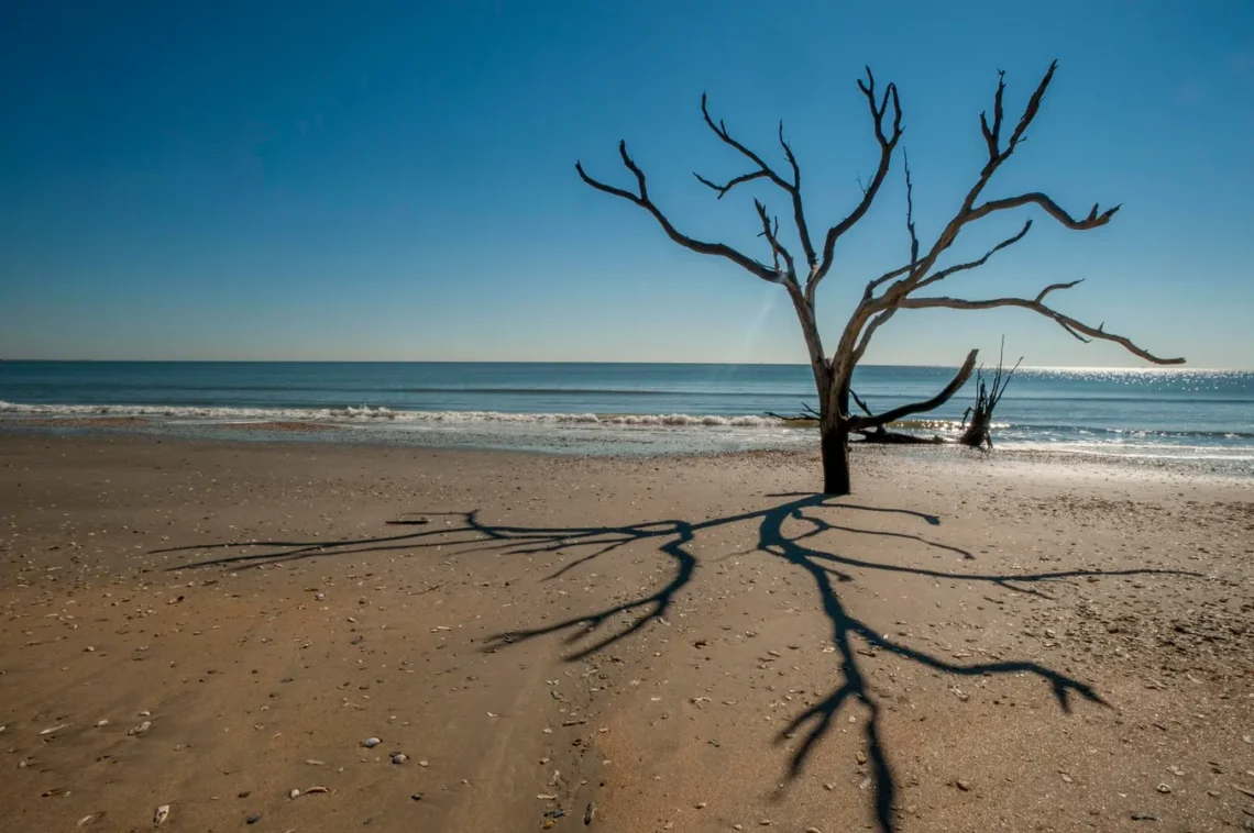 Best South Carolina Beaches to Visit