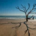 Best South Carolina Beaches to Visit