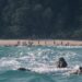 North Sentinel Island: Secrets of the Forbidden Land